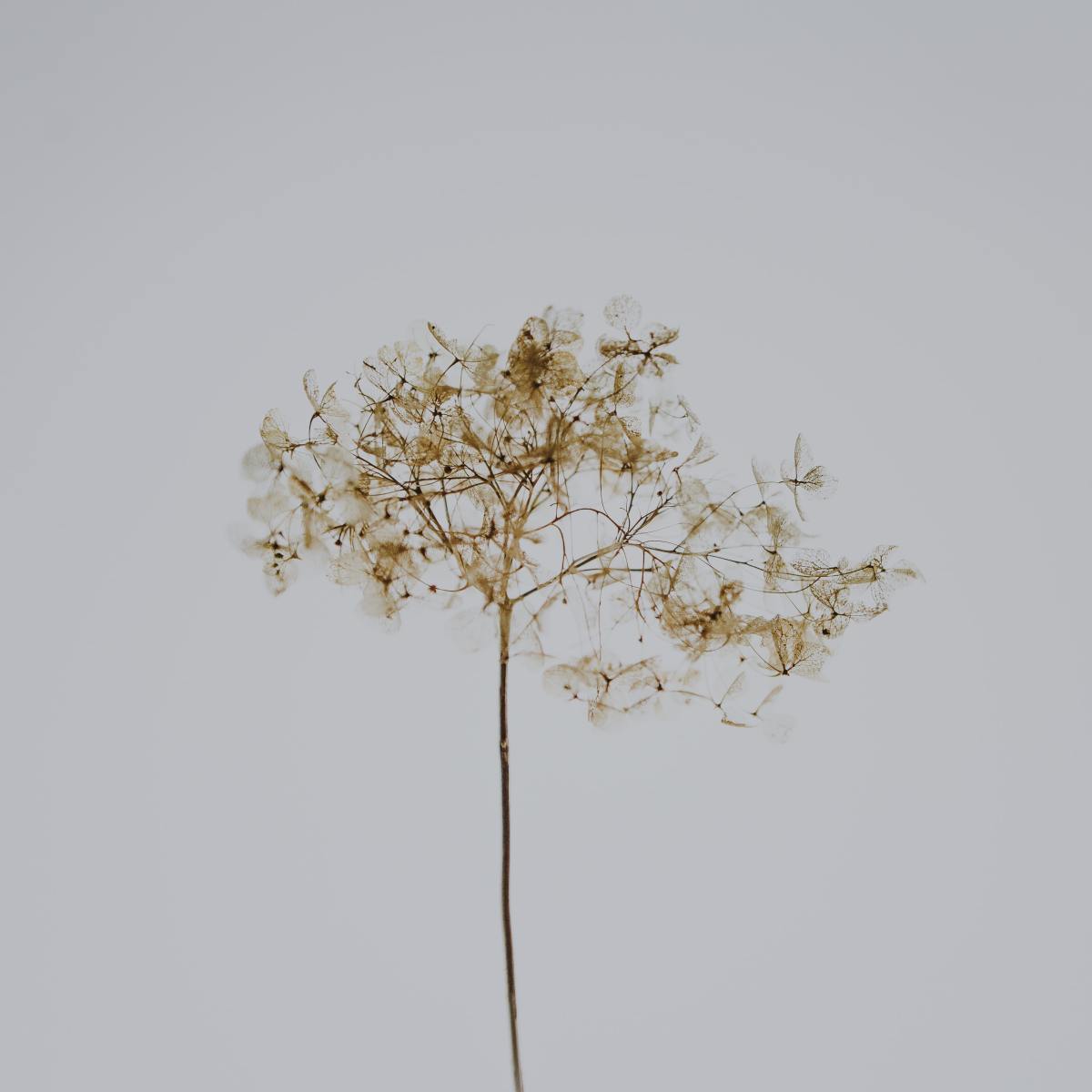 This is the Day of the Show&nbsp;Y’all!