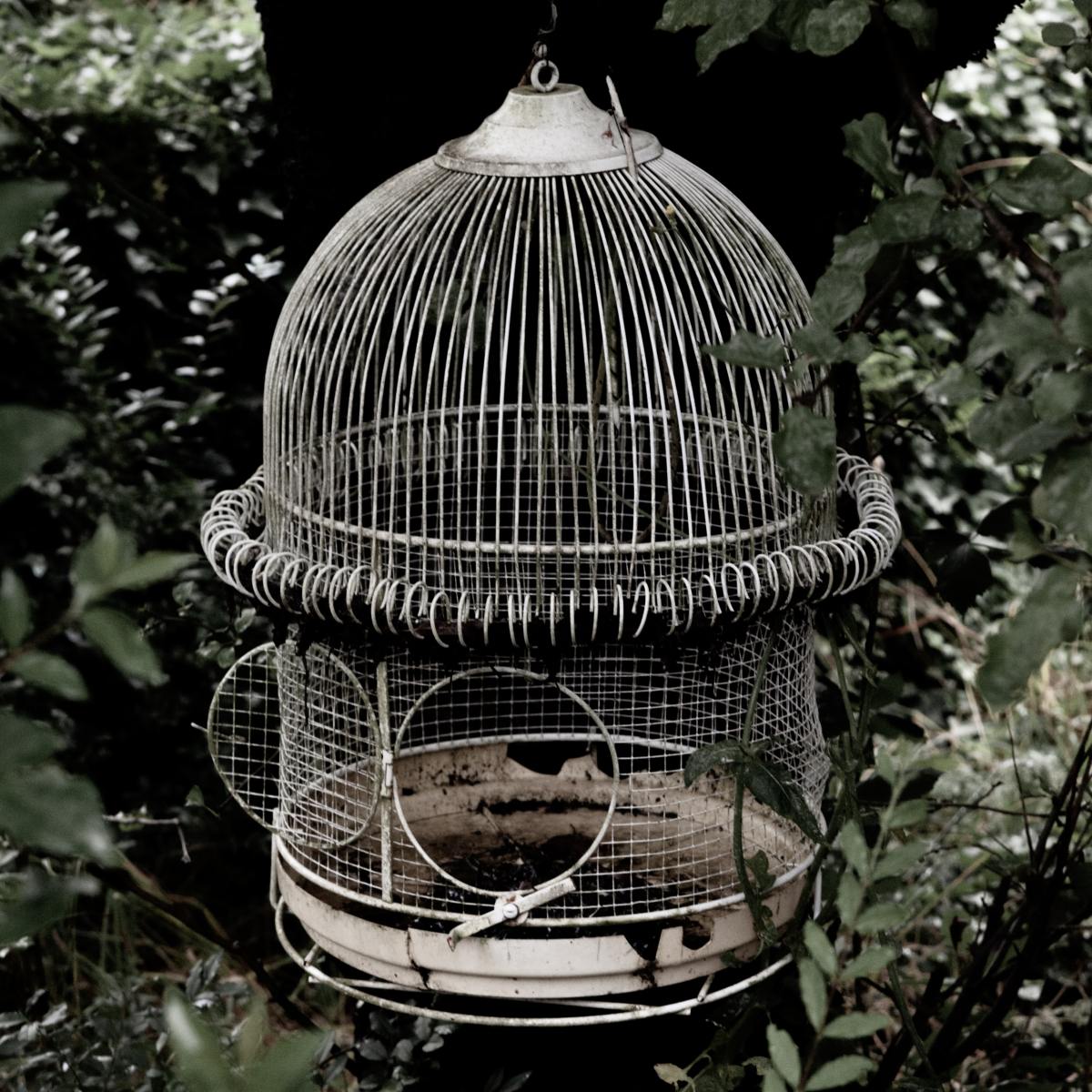 “Flight Cage” by Maya&nbsp;Nordine