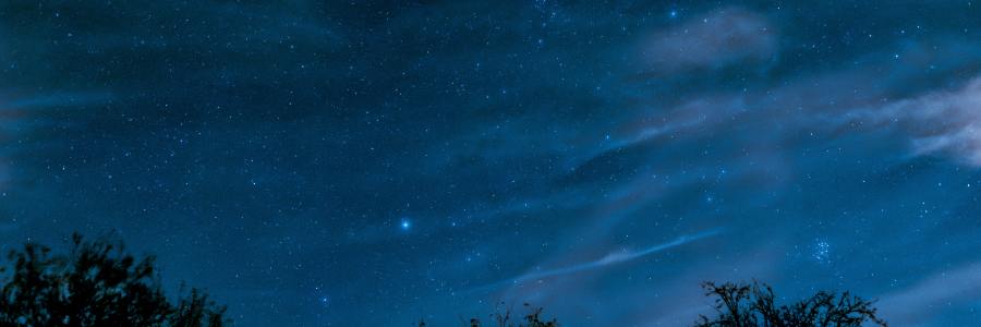 photo of a blue night sky with treetops at the bottom and the pleiades constellation overhead