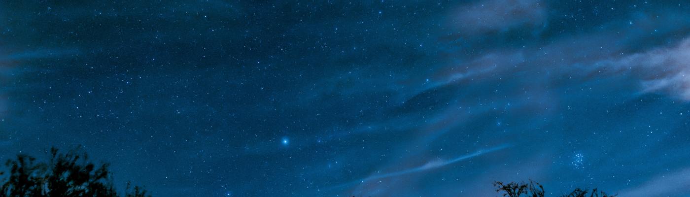 photo of a blue night sky with treetops at the bottom and the pleiades constellation overhead