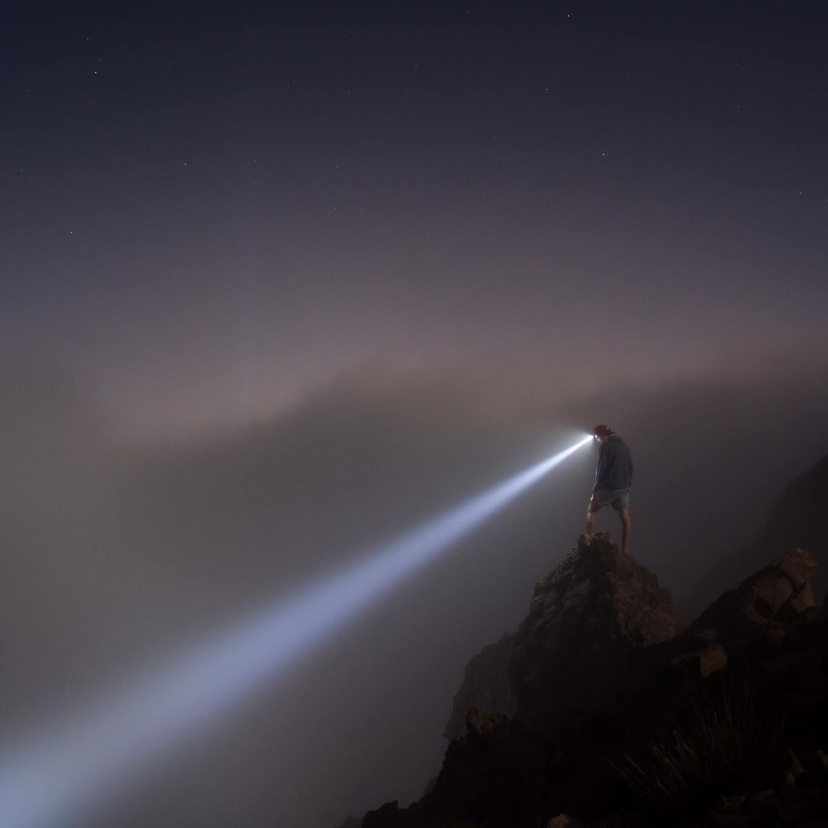 “Land of the Lost” by Caley&nbsp;O’Dwyer