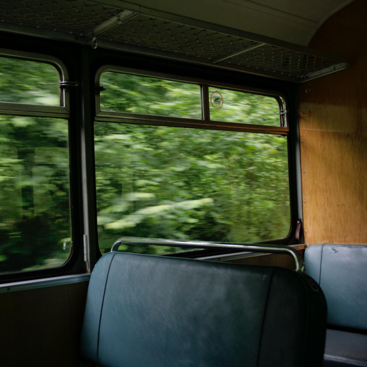 “You send me (my fingers exploring the waves of your hair, dampened by the heat)” by Emerald&nbsp;Liu