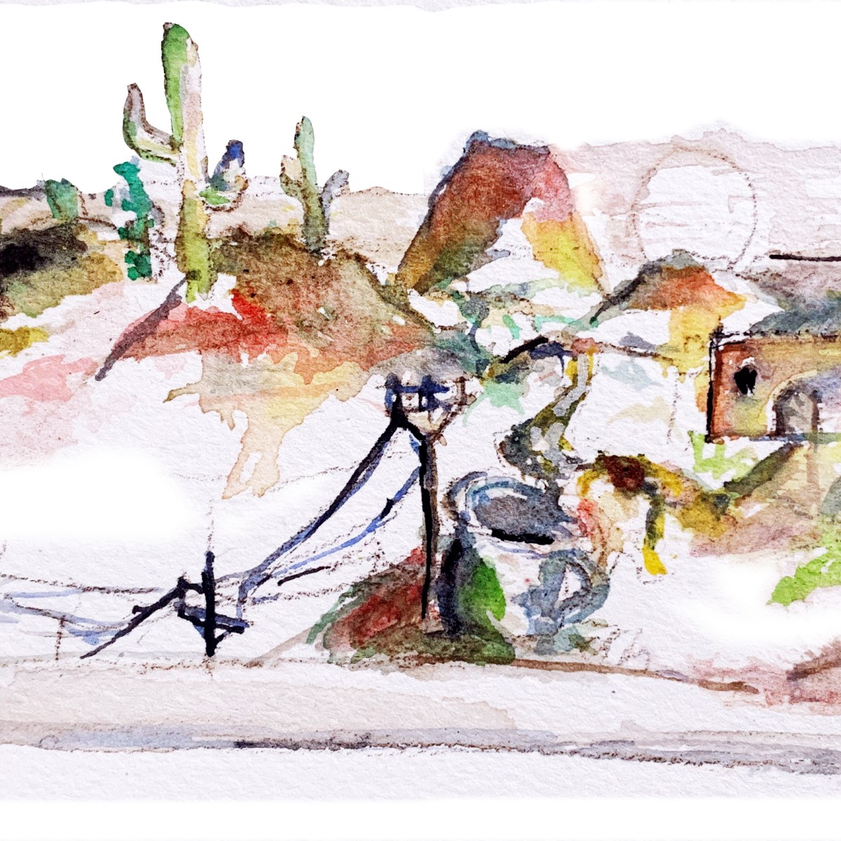 “The Cactus House” by Adam&nbsp;Chamy