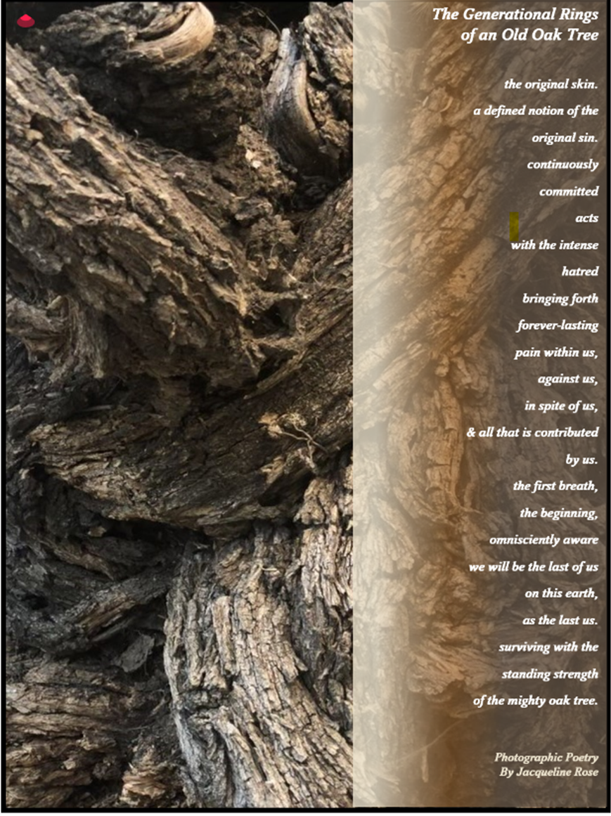 the original skin.
a defined notion of the
original sin.
continuously
committed
acts
with the intense
hatred
bringing forth
forever-lasting
pain within us,
against us,
in spite of us,
& all that is contributed
by us.
the first breath,
the beginning,
omnisciently aware
we will be the last of us
on this earth.
as the last us,
surviving with the
standing strength
of the mighty oak tree.

The poem is set on top of a photograph of the gnarled bark of an oak tree.