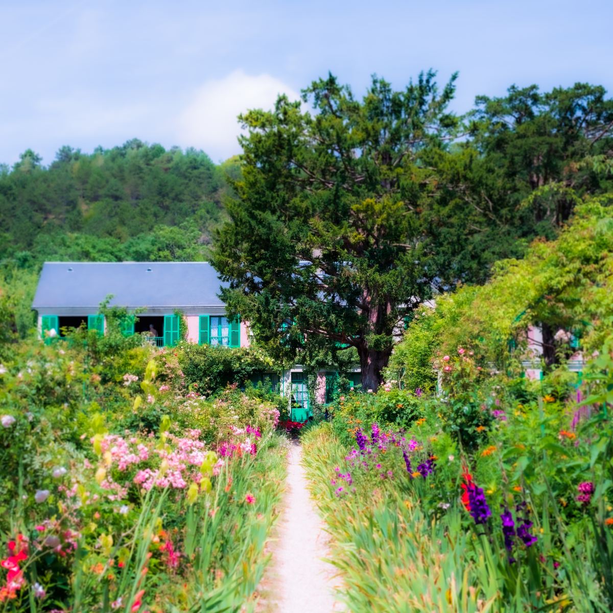 “Villanelle at 37” by Rosa&nbsp;Sophia