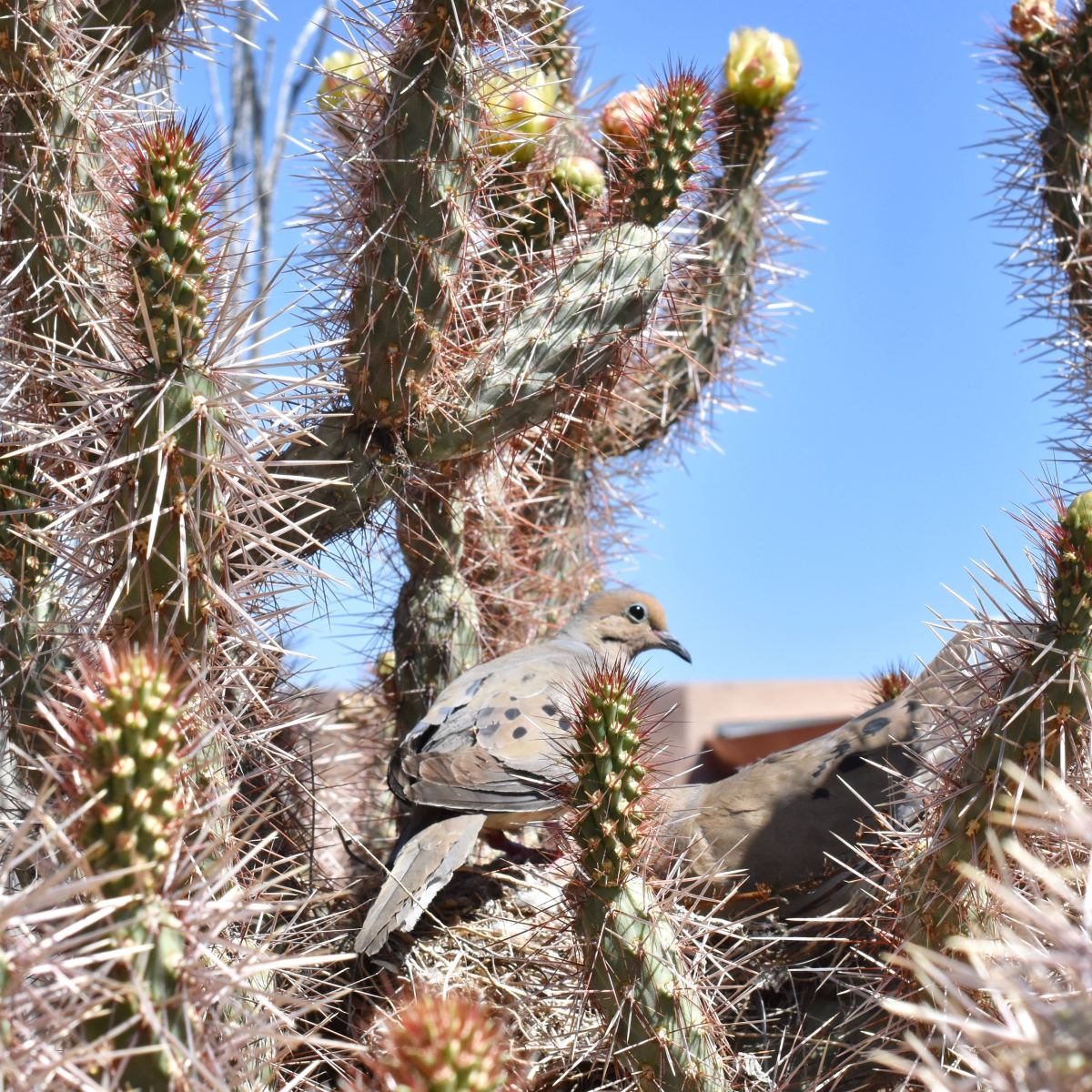 “On the Night My Father Died” by J Ryan&nbsp;Bermuda