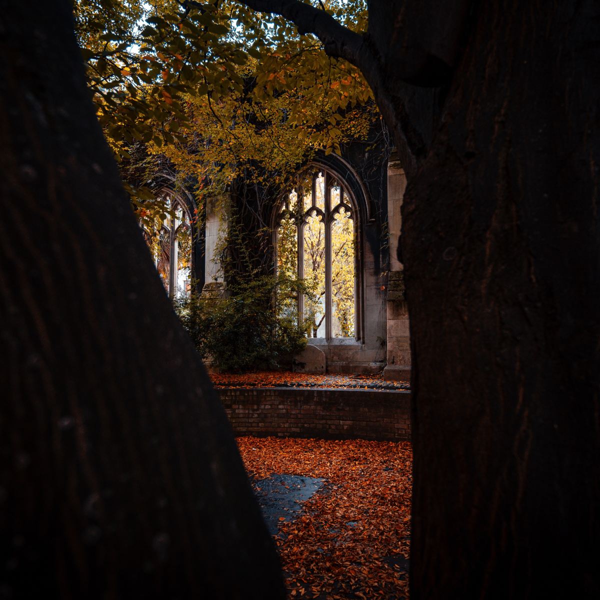 “The Arrival” by DB&nbsp;Jonas